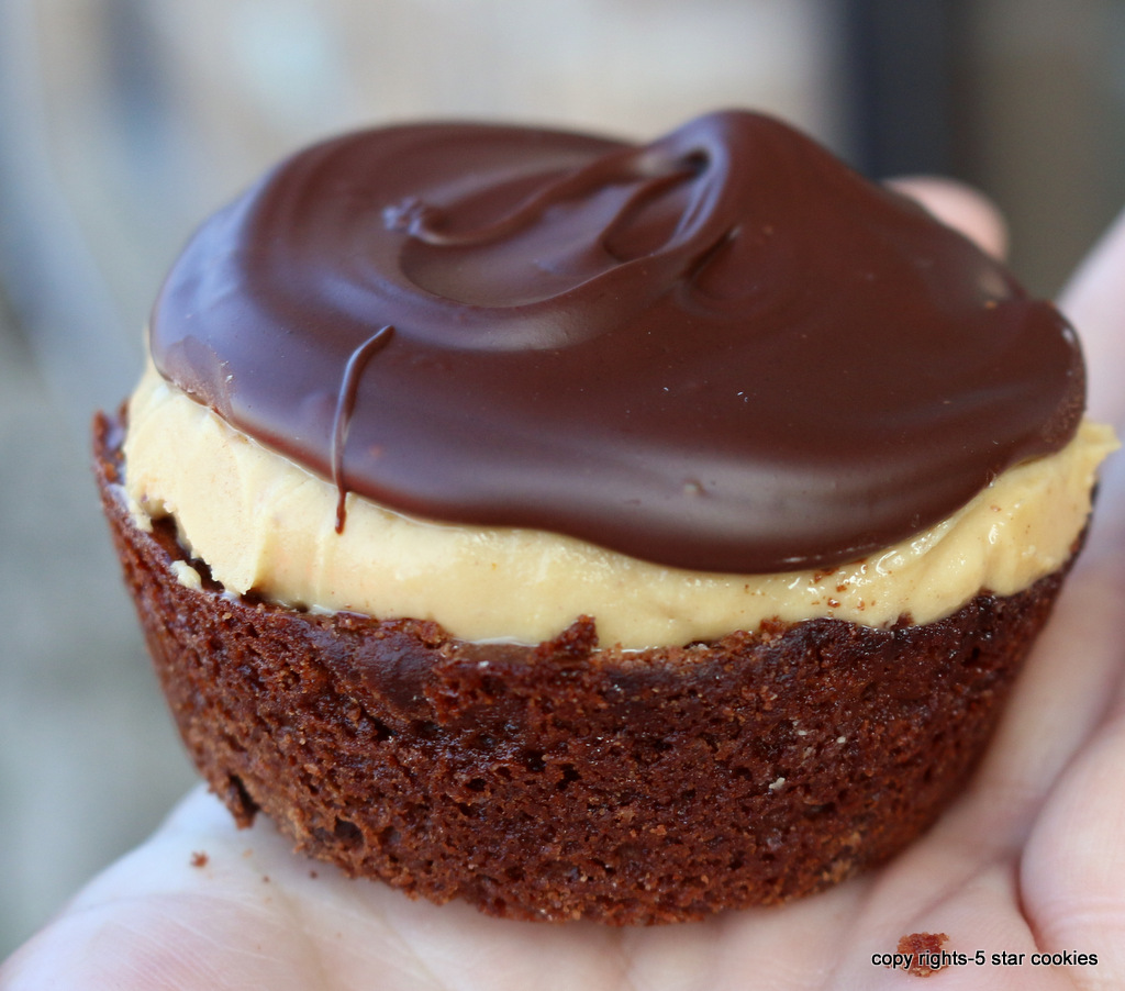 Magic and Easy Quick Brownies of your dreams 5 Star Cookies