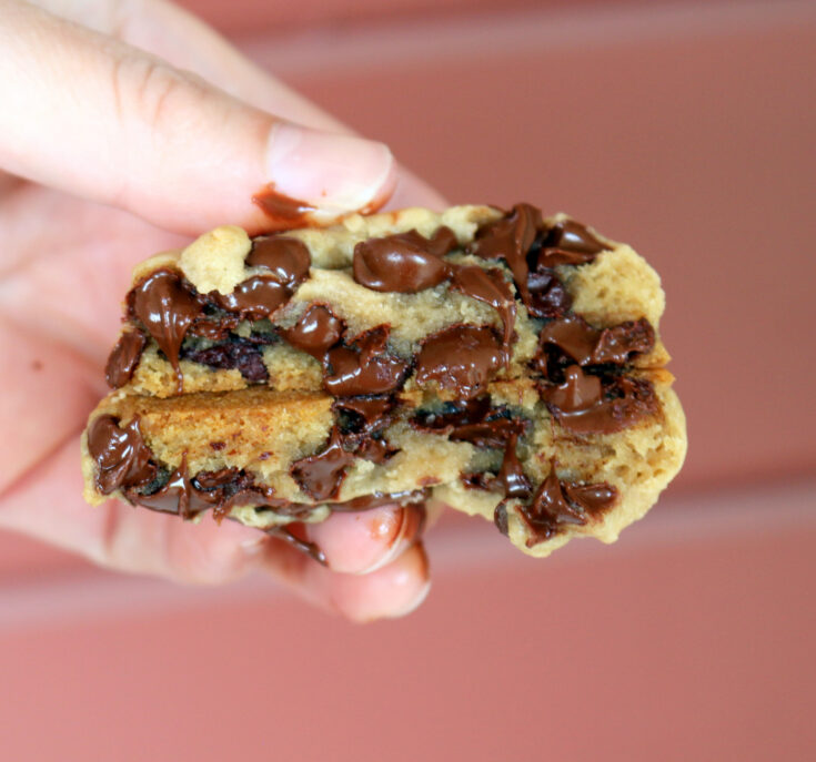 The best Vegan Chocolate chip cookies from the best food blog 5starcookies