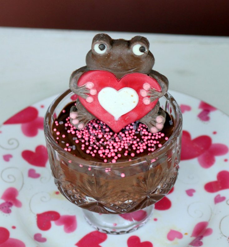 Mocha Nutella mousse from the best food blog 5starcookies-chocolate fix for Valenites Day