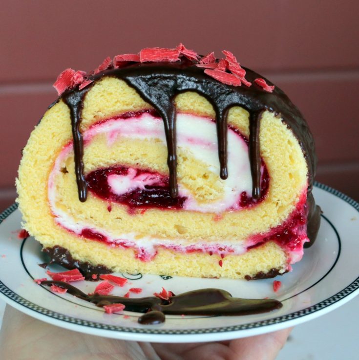 the best Cranberry Chocolate Roll Cake from the best food blog 5starcookies