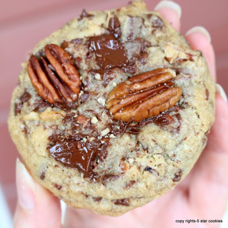 easy pecan chocolate cookies